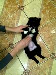     
: Фото0882.jpg
: 15
:	111.9 
ID:	7447237