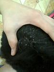     
: Фото0874.jpg
: 9
:	78.4 
ID:	7447241