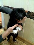    
: Фото0876.jpg
: 10
:	79.3 
ID:	7447242
