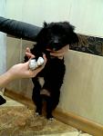     
: Фото0878.jpg
: 10
:	73.1 
ID:	7447244