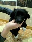     
: Фото0865.jpg
: 10
:	97.2 
ID:	7447245