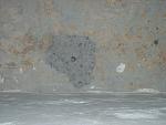     
: 100_3687.jpg
: 60
:	90.4 
ID:	7450397