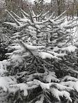     
: 20121218_081056.jpg
: 6
:	158.1 
ID:	7450781