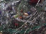     
: 20130131_094036.jpg
: 7
:	195.6 
ID:	7450783