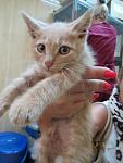     
: IMG_2440_500.jpg
: 15
:	45.3 
ID:	7455722