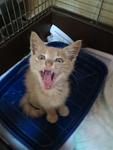     
: IMG_2446_500.jpg
: 14
:	35.8 
ID:	7455724