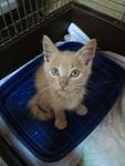     
: IMG_2445_500.jpg
: 11
:	36.5 
ID:	7455725