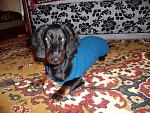     
: 333333333333+GEDC1660.jpg
: 7
:	208.9 
ID:	7455945
