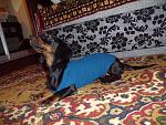     
: 555555555GEDC1652.jpg
: 5
:	207.7 
ID:	7455947