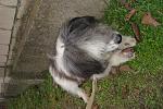     
: DSC09452.jpg
: 8
:	182.0 
ID:	7459060