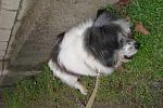     
: DSC09450.jpg
: 5
:	185.6 
ID:	7459070