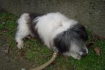     
: DSC09455.jpg
: 11
:	174.6 
ID:	7459073