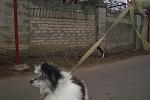     
: DSC09434.jpg
: 9
:	125.5 
ID:	7459076