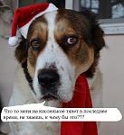     
: жара.jpg
: 17
:	61.6 
ID:	7460537