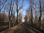     
: IMG_2932.jpg
: 22
:	262.5 
ID:	7462039