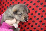     
: DSC09457.jpg
: 28
:	123.0 
ID:	7462161