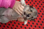     
: DSC09458.jpg
: 25
:	119.3 
ID:	7462163