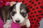     
: DSC09459.jpg
: 26
:	103.0 
ID:	7462167