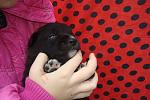     
: DSC09462.jpg
: 29
:	100.3 
ID:	7462172