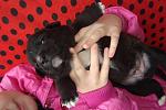     
: DSC09463.jpg
: 33
:	102.6 
ID:	7462173