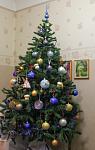     
: IMG_06061.jpg
: 26
:	56.5 
ID:	7463634