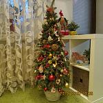     
: IMG_2629.jpg
: 45
:	146.7 
ID:	7464935