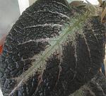    
: 2013-12-26 08.47.47-1.jpg
: 16
:	104.1 
ID:	7465985