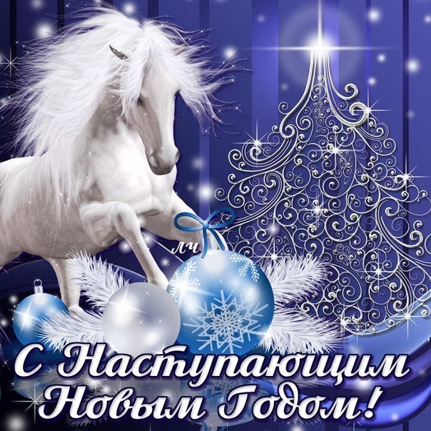     
: ZvF443YJdzY.jpg
: 7
:	124.7 
ID:	7468228