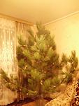     
: DSCI0777.jpg
: 13
:	79.8 
ID:	7468458