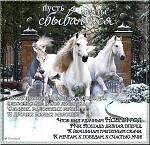     
: rNEUhxmyA14.jpg
: 4
:	127.0 
ID:	7469078