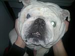     
: 2014-01-01-4093.jpg
: 3
:	123.7 
ID:	7469948