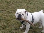     
: 2013-12-30-4088.jpg
: 5
:	203.6 
ID:	7469950