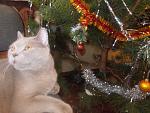     
: DSCN3480.jpg
: 8
:	154.1 
ID:	7472128
