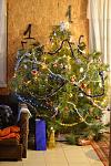     
: DSC_1129.jpg
: 7
:	123.4 
ID:	7475021