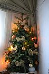    
: DSC_1137.jpg
: 8
:	77.8 
ID:	7475034
