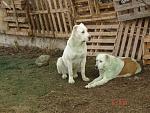     
: DSC00024.jpg
: 20
:	162.8 
ID:	7476455