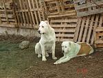     
: DSC00023.jpg
: 15
:	194.8 
ID:	7476465
