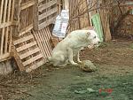     
: DSC00008.jpg
: 17
:	196.4 
ID:	7476472