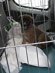     
: IMG_8311.jpg
: 27
:	81.3 
ID:	7481065