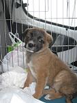     
: IMG_8312.jpg
: 16
:	88.8 
ID:	7481067