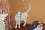     
: IMG_4832.JPG
: 21
:	291.3 
ID:	7481522