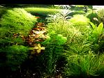     
: IMG_05-01-2014_105253.jpg
: 5
:	226.7 
ID:	7481749