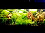     
: IMG_05-01-2014_105239.jpg
: 7
:	155.0 
ID:	7481751