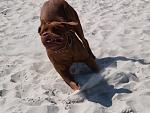     
: P4042014.jpg
: 27
:	133.7 
ID:	748254