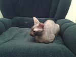     
: 20140105_173743.jpg
: 10
:	120.3 
ID:	7482904