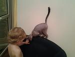     
: 20140105_174021.jpg
: 10
:	75.9 
ID:	7482905