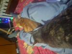     
: DSC00469.jpg
: 4
:	76.9 
ID:	7483489