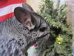     
: IMG_5554.jpg
: 4
:	137.4 
ID:	7483493