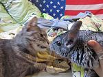     
: IMG_5555.jpg
: 5
:	145.4 
ID:	7483495
