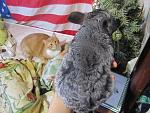     
: IMG_5553.jpg
: 4
:	166.8 
ID:	7483496